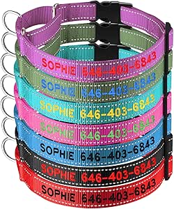 Personalized DOG COLLARS    $6.99 ac FS PRIME AMAZON