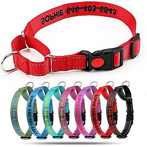 suncliff Personalized Dog Collar: Embroidered Metal Buckel $7.50 or Lock Buckle $7 & More + Free S/H